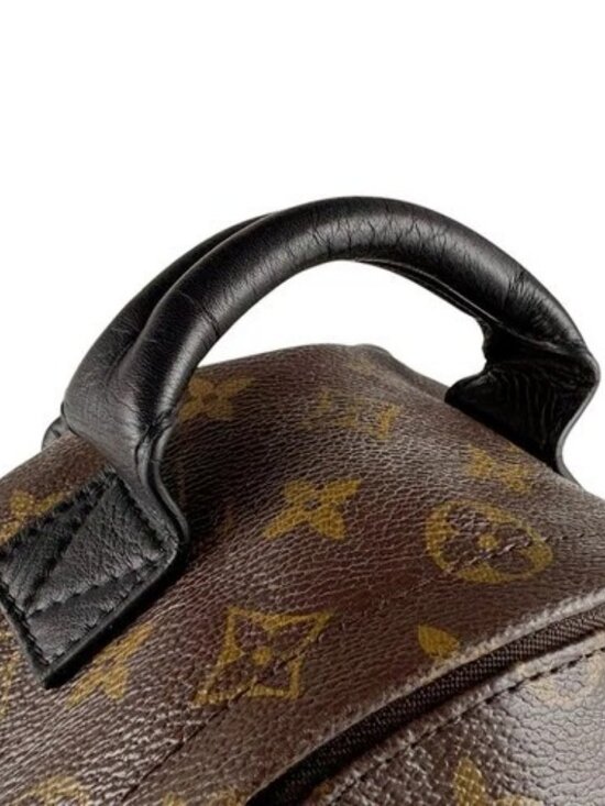 Auth LOUIS VUITTON Monogram Palm Springs PM Backpack Brown M44871 - z9619 main image 5